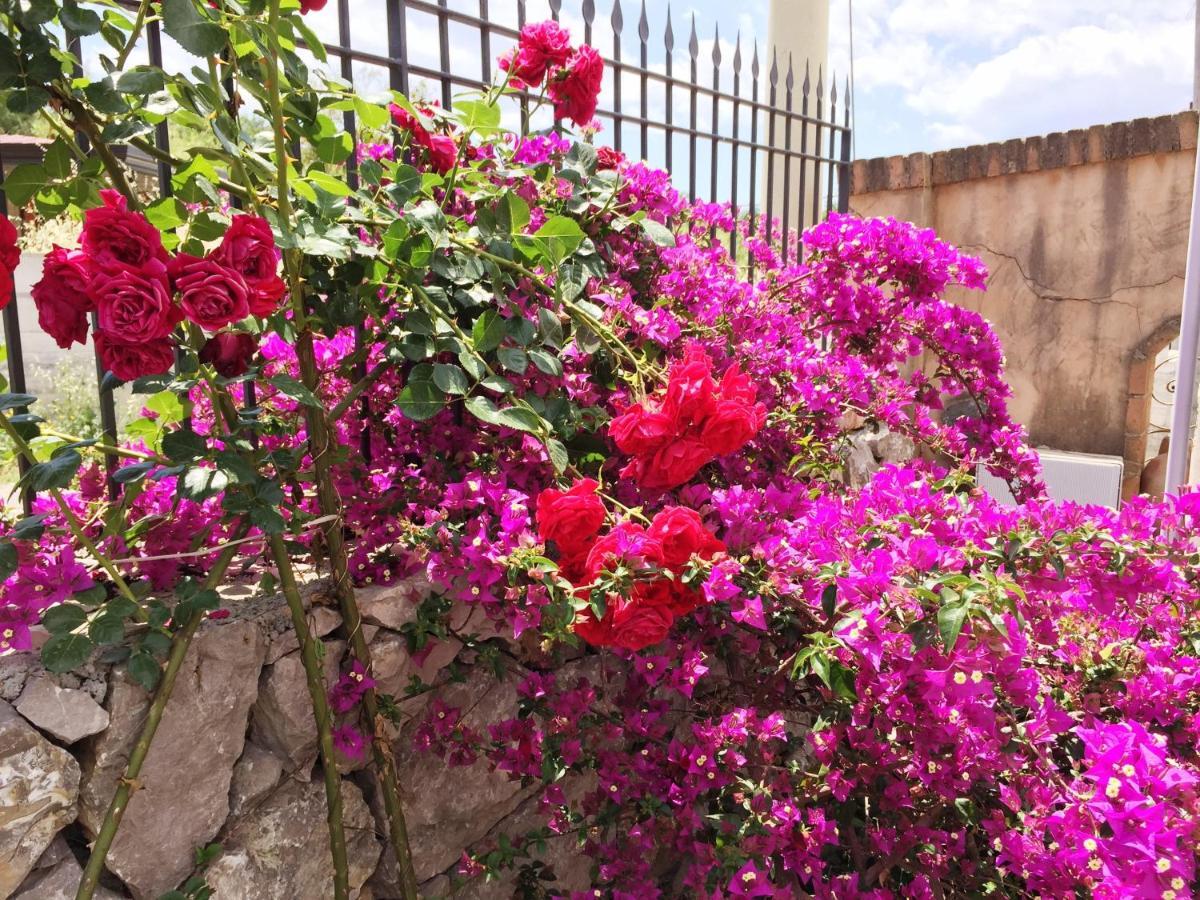 B&B Terre Di Sicilia Giardini Naxos Exterior foto